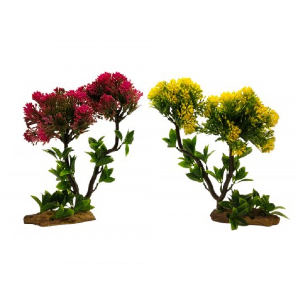 ΔΙΑΚΟΣΜΗΤΙΚΟ ΦΥΤΟ ΕΝΥΔΡΕΙΟΥ 25Χ12CM